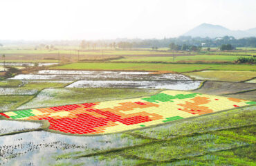 How Does Precision Mapping Empower Agribusinesses to Flourish?