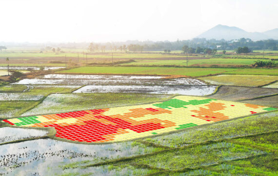 How Does Precision Mapping Empower Agribusinesses to Flourish?