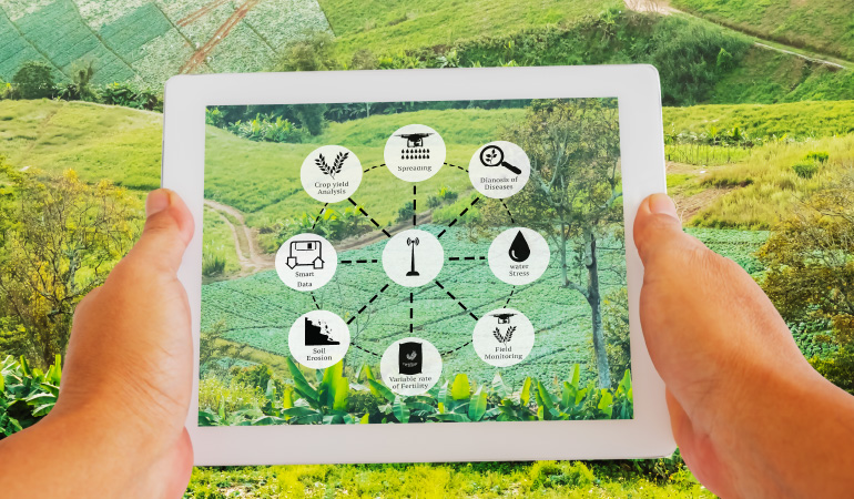 Crop Management Software for Sustainable Farming