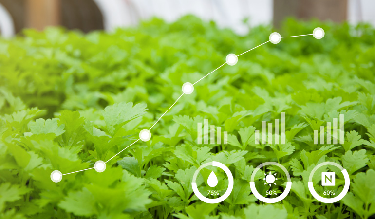 Unified Farm Management System to Boost Production and Profitability