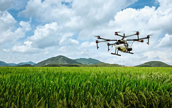 Collecting and Analyzing Drone Imagery for Crop Monitoring