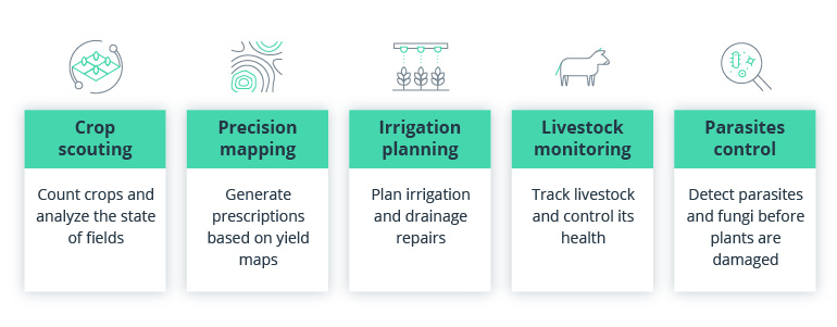 How to Interpret Agricultural Drone Data for Crop Management Decisions