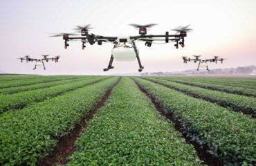 How to Interpret Agricultural Drone Data for Crop Management Decisions