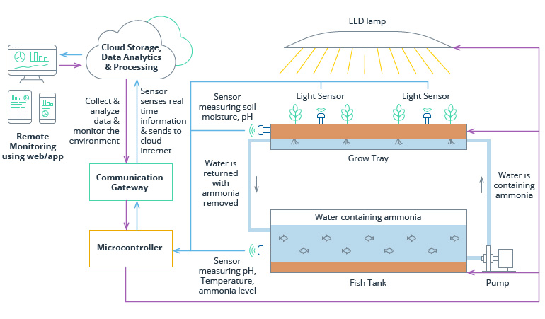 Vertical Agriculture Roadmap: From Concept to Profit