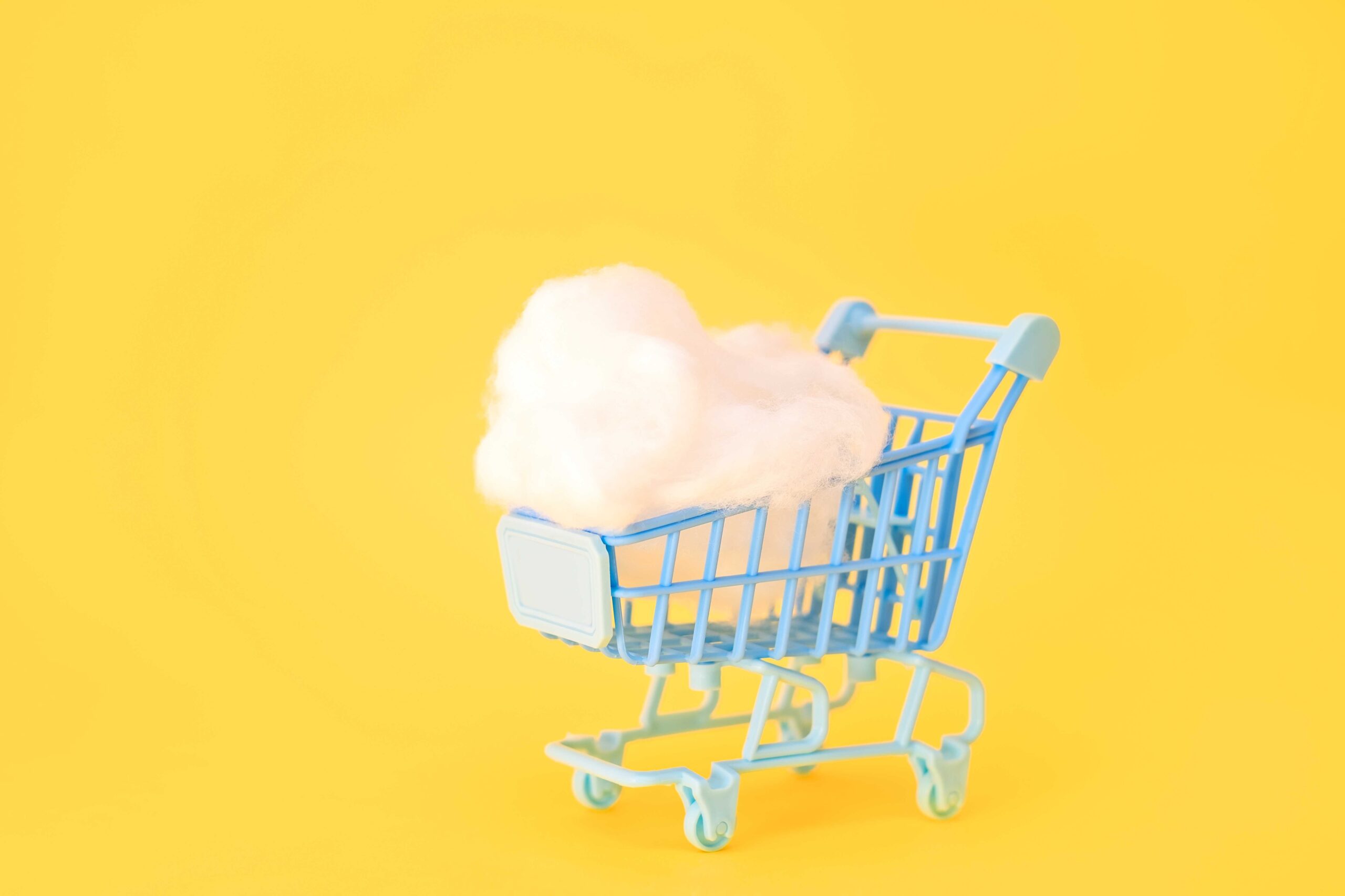 How Can Retailers Avoid Loss with Cloud eCommerce Infrastructures?