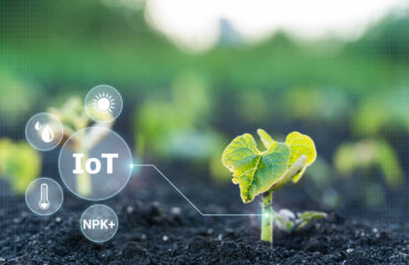 IoT in Agriculture: Connected Farming Is the Smarter Way to Sustainability