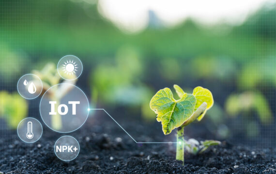 IoT in Agriculture: Connected Farming Is the Smarter Way to Sustainability