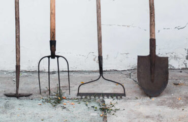 GPS Agriculture: Common Practice or a Launchpad for Innovation?