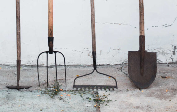 GPS Agriculture: Common Practice or a Launchpad for Innovation?