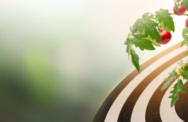 Precision Farming: Applying Software to Soils, Sustainably