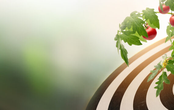 Precision Farming: Applying Software to Soils, Sustainably