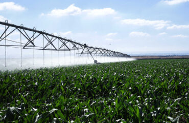 Smart Irrigation in Agriculture: How IoT Takes AgTech to the Next Level