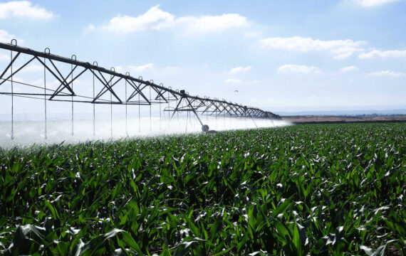 Smart Irrigation in Agriculture: How IoT Takes AgTech to the Next Level