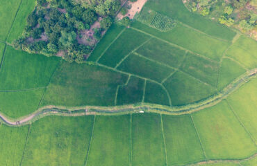 7 Ways How GIS in Agriculture Eliminates Guesswork