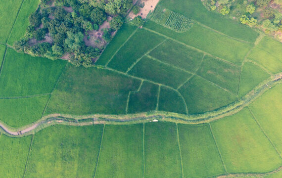 7 Ways How GIS in Agriculture Eliminates Guesswork