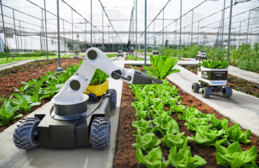 The Future of AgriTech: Trends and Innovations in Agriculture to Watch in 2023