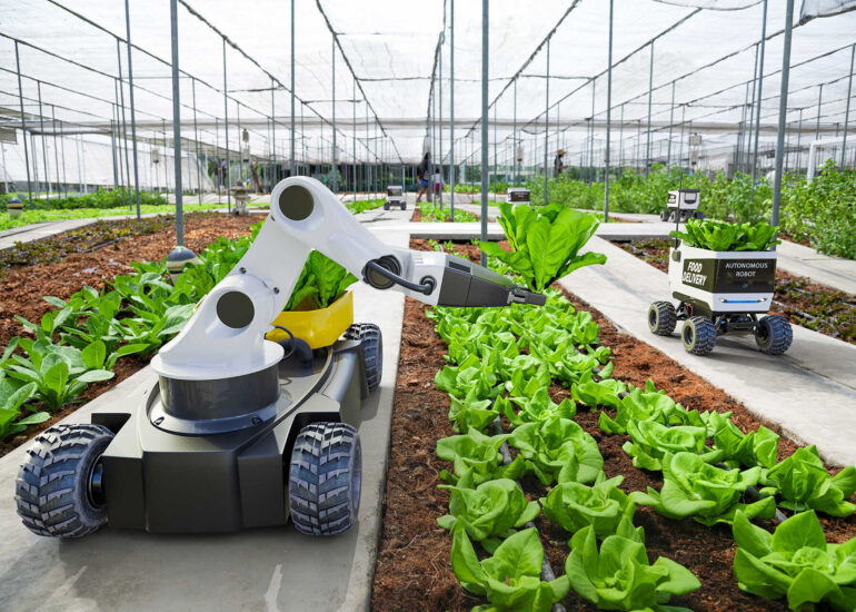 The Future of AgriTech: Trends and Innovations in Agriculture to Watch in 2023