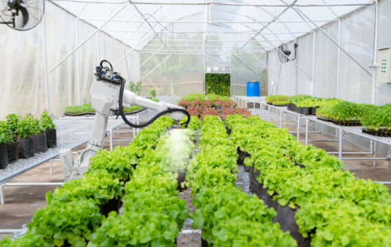 Reaping the Fruits of Vertical Farming Technology to Maximize Yields