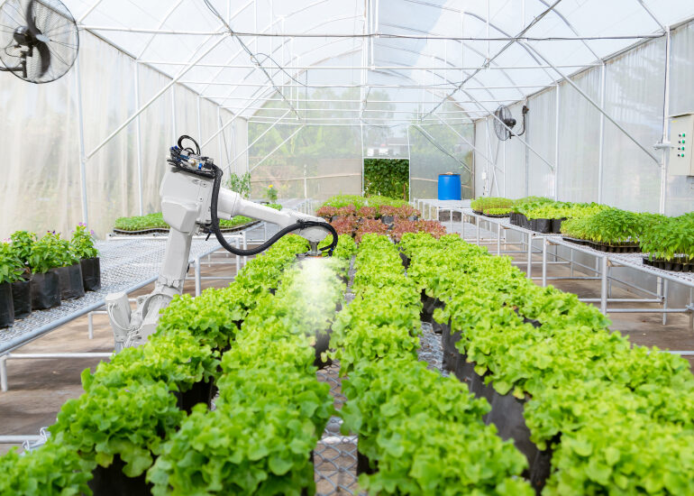Reaping the Fruits of Vertical Farming Technology to Maximize Yields