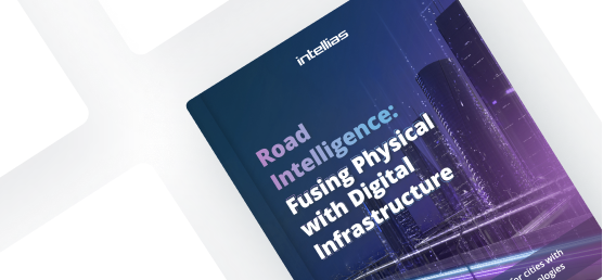 Road Intelligence: Fusing Physical with Digital Infrastructure