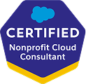 2025-01_Badge_SF-Certified_Nonprofit-Cloud-Consultant-NPC_High-Res