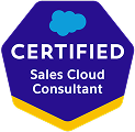 Sales-Cloud-Consultant 1